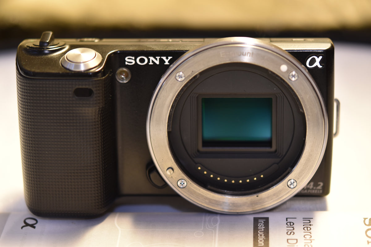 DSC_0071_1200x1200.jpg?v=