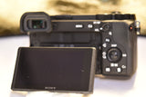 Sony Alpha 6600 Mirrorless Digital Camera Body