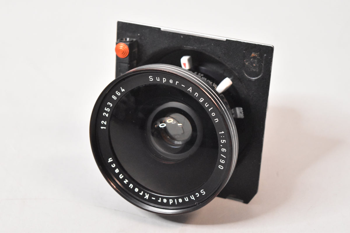 DSC_0350_9e6f67cb-aec5-4da4-