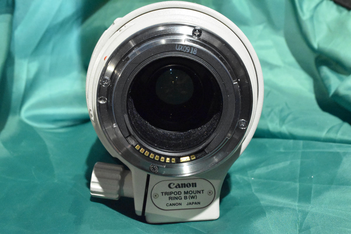 Canon　EF100-400mm F4.5-5.6L IS II USM Canon EF 100-400mm f4.5-5.6 L IS II USM lens – Phototek Canada