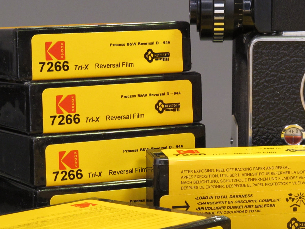 IMG_3240_4b4d111e-8930-43ee-